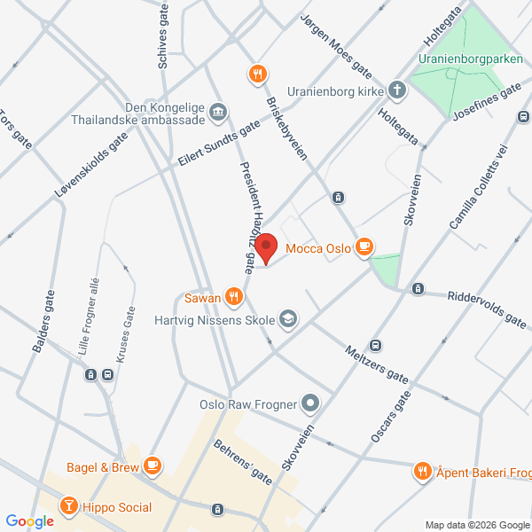 Bilde fra Google Maps, sentrert på adressen