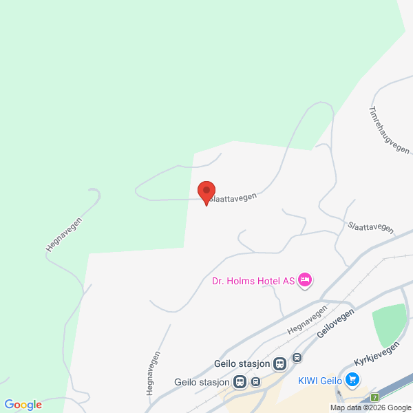 Bilde fra Google Maps, sentrert på adressen