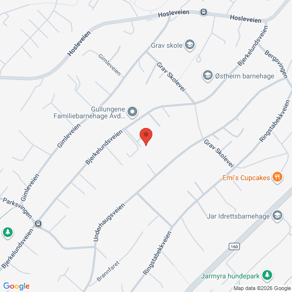 Bilde fra Google Maps, sentrert på adressen