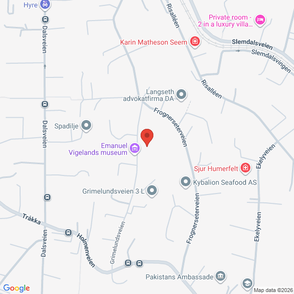 Bilde fra Google Maps, sentrert på adressen