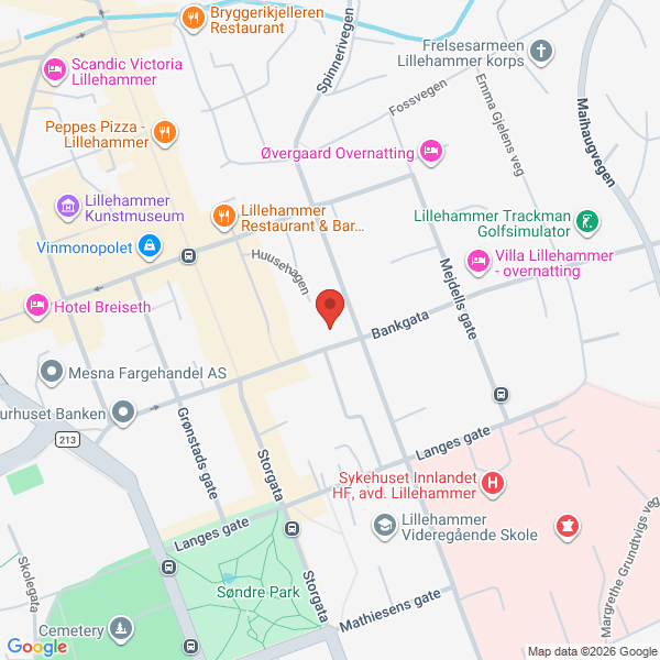 Bilde fra Google Maps, sentrert på adressen