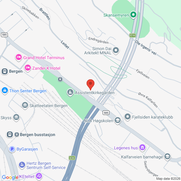 Bilde fra Google Maps, sentrert på adressen