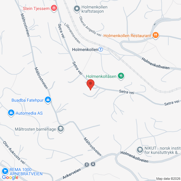 Bilde fra Google Maps, sentrert på adressen