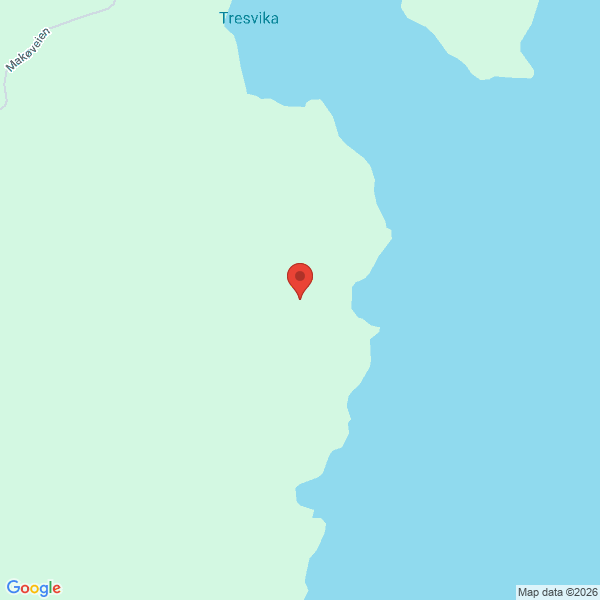 Bilde fra Google Maps, sentrert på adressen