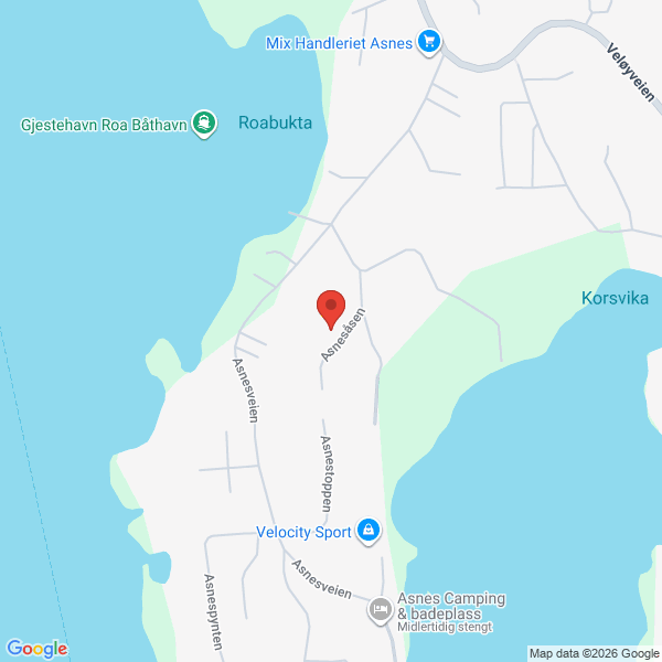 Bilde fra Google Maps, sentrert på adressen