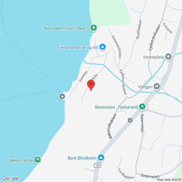 Bilde fra Google Maps, sentrert på adressen