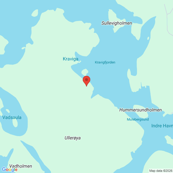 Bilde fra Google Maps, sentrert på adressen