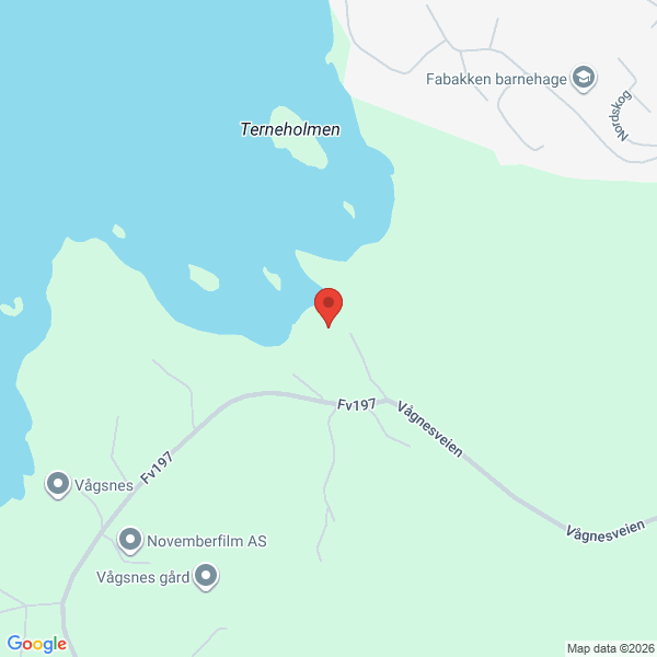 Bilde fra Google Maps, sentrert på adressen