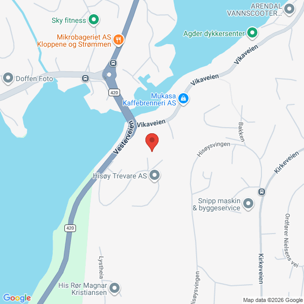 Bilde fra Google Maps, sentrert på adressen