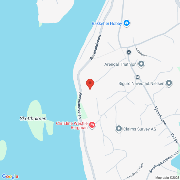 Bilde fra Google Maps, sentrert på adressen