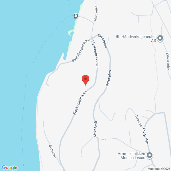 Bilde fra Google Maps, sentrert på adressen