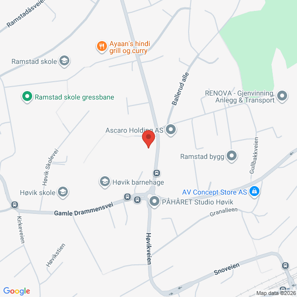 Bilde fra Google Maps, sentrert på adressen