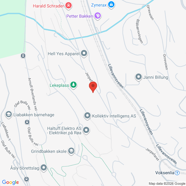 Bilde fra Google Maps, sentrert på adressen