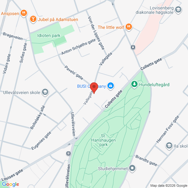 Bilde fra Google Maps, sentrert på adressen