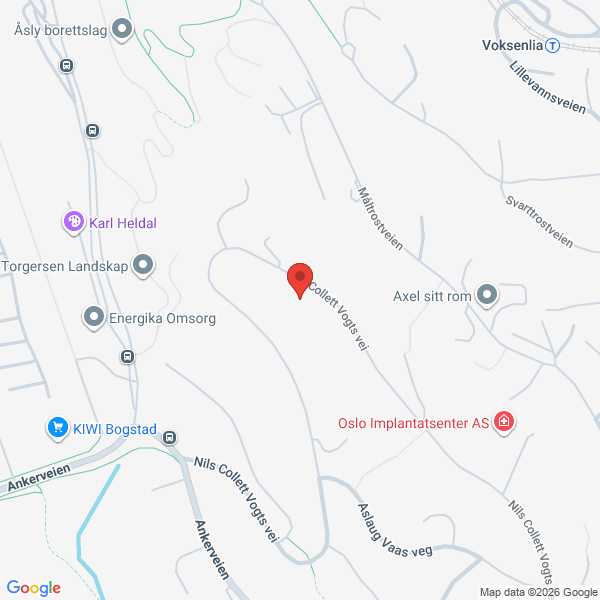 Bilde fra Google Maps, sentrert på adressen