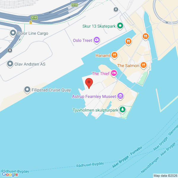 Bilde fra Google Maps, sentrert på adressen