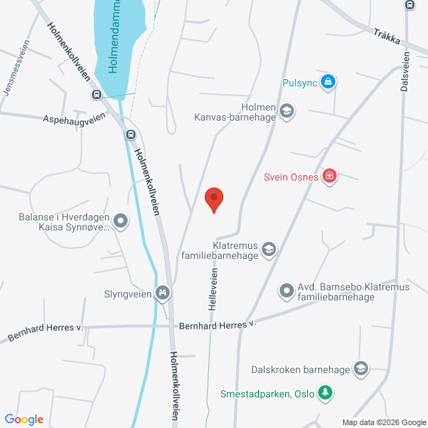 Bilde fra Google Maps, sentrert på adressen