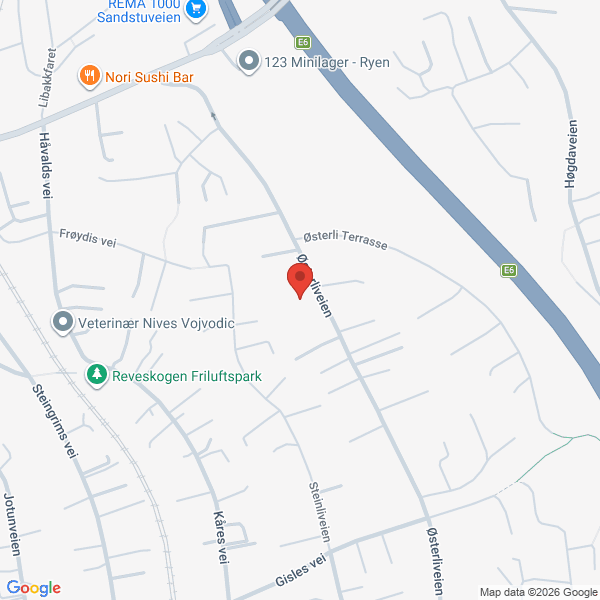 Bilde fra Google Maps, sentrert på adressen
