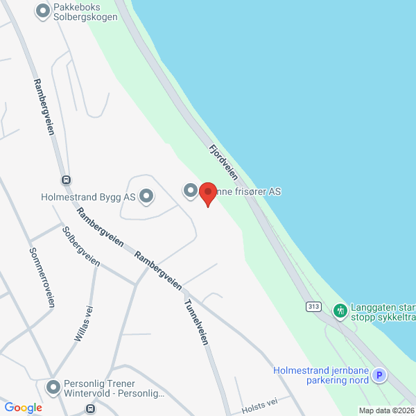 Bilde fra Google Maps, sentrert på adressen