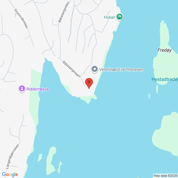 Bilde fra Google Maps, sentrert på adressen