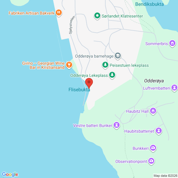 Bilde fra Google Maps, sentrert på adressen