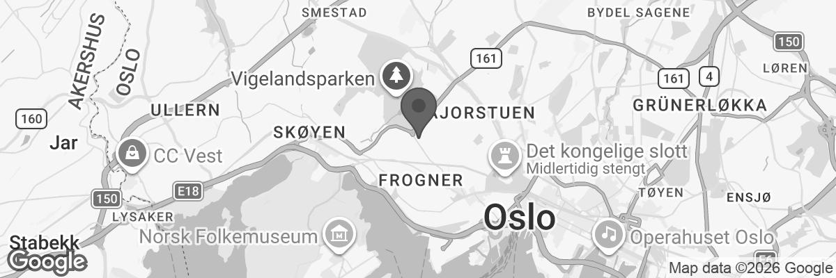 Bilde fra Google Maps, sentrert på adressen