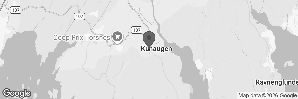 Bilde fra Google Maps, sentrert på adressen