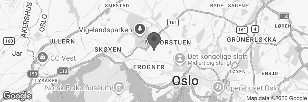 Bilde fra Google Maps, sentrert på adressen