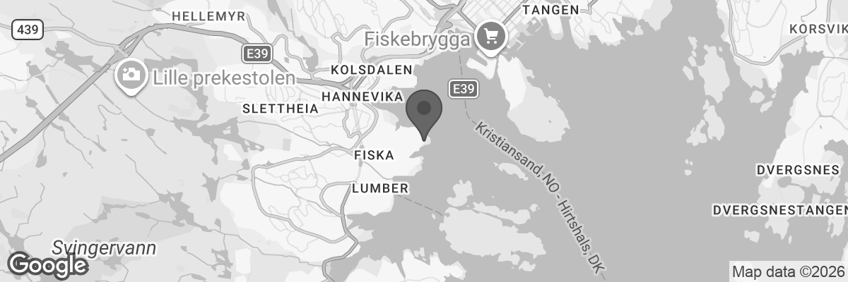 Bilde fra Google Maps, sentrert på adressen