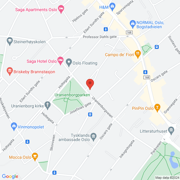 Bilde fra Google Maps, sentrert på adressen