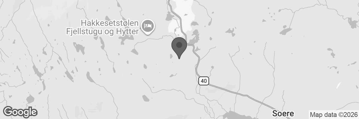 Bilde fra Google Maps, sentrert på adressen