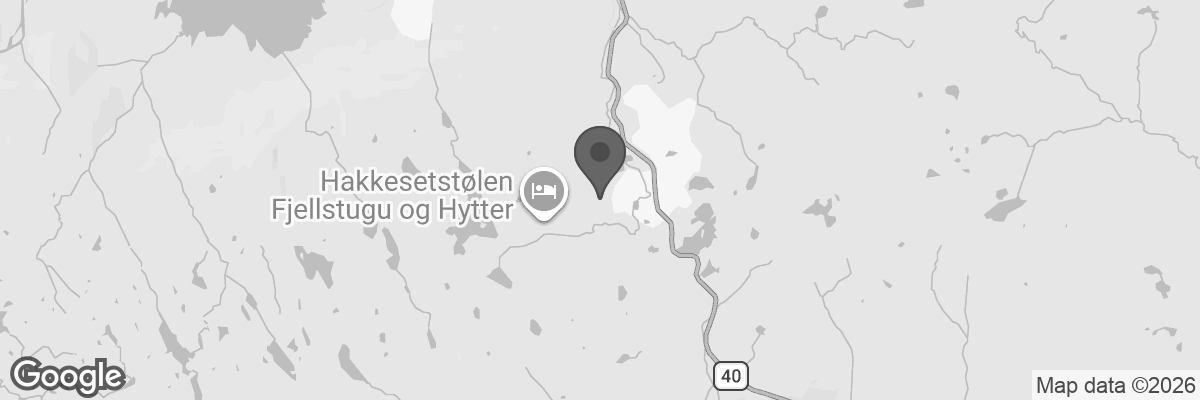Bilde fra Google Maps, sentrert på adressen