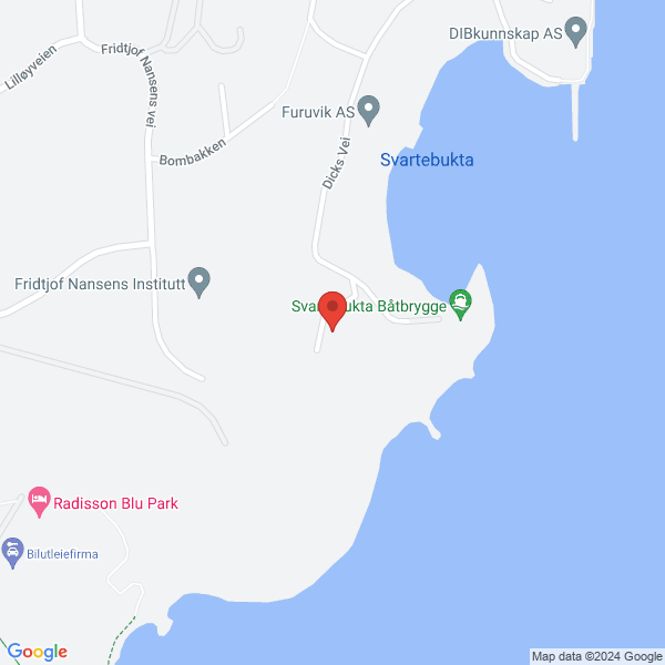 Bilde fra Google Maps, sentrert på adressen