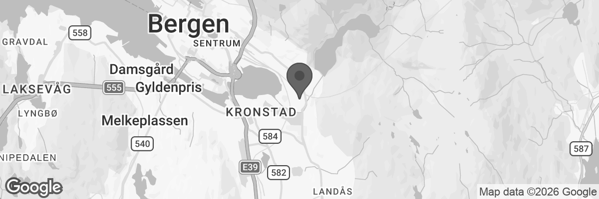 Bilde fra Google Maps, sentrert på adressen
