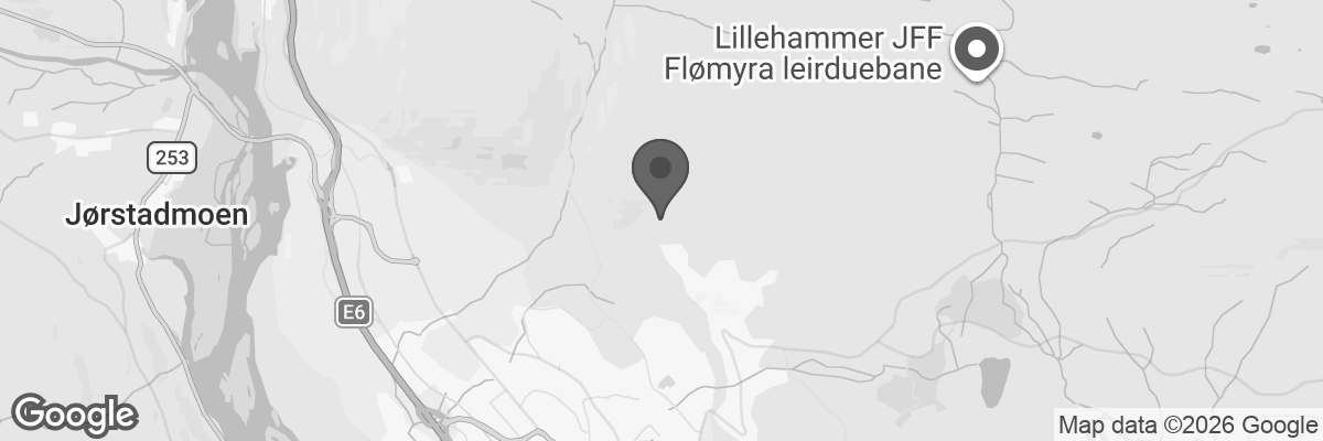 Bilde fra Google Maps, sentrert på adressen