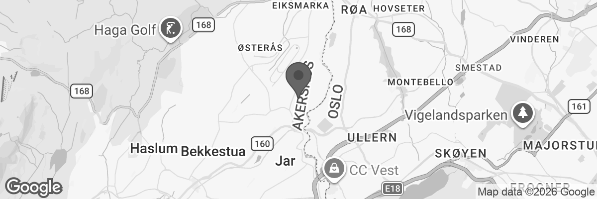Bilde fra Google Maps, sentrert på adressen