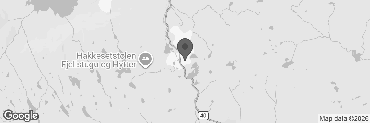 Bilde fra Google Maps, sentrert på adressen