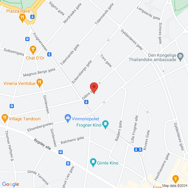 Bilde fra Google Maps, sentrert på adressen