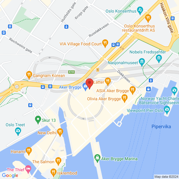 Bilde fra Google Maps, sentrert på adressen