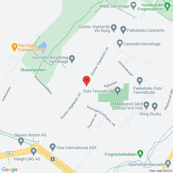 Bilde fra Google Maps, sentrert på adressen