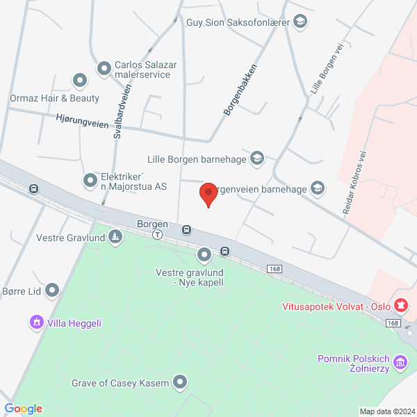 Bilde fra Google Maps, sentrert på adressen
