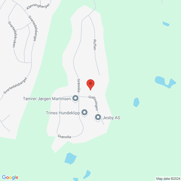 Bilde fra Google Maps, sentrert på adressen