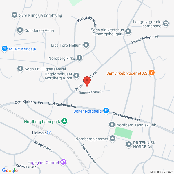 Bilde fra Google Maps, sentrert på adressen