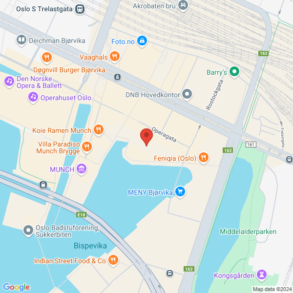 Bilde fra Google Maps, sentrert på adressen